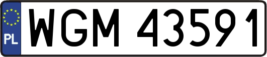 WGM43591