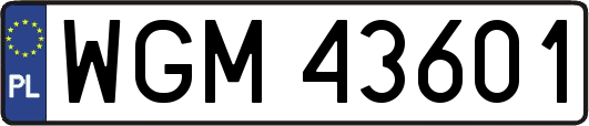 WGM43601