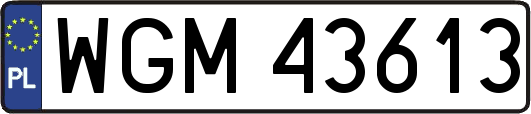 WGM43613