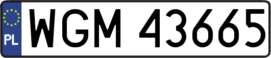 WGM43665
