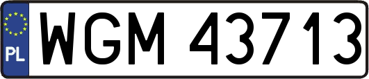 WGM43713
