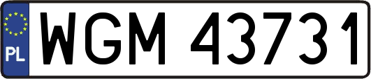 WGM43731