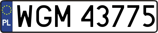 WGM43775