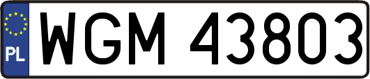 WGM43803