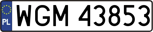 WGM43853