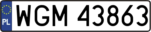 WGM43863