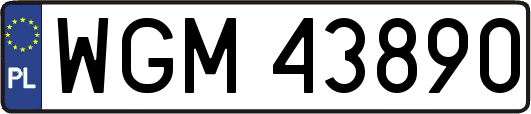 WGM43890
