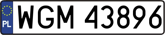 WGM43896