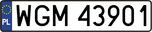 WGM43901