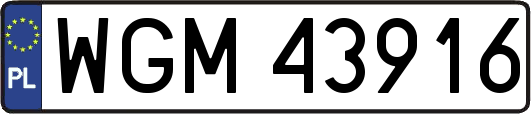 WGM43916