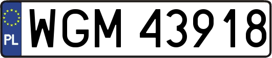 WGM43918
