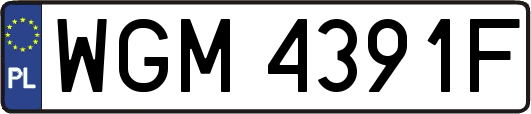 WGM4391F