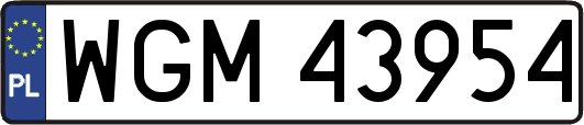 WGM43954