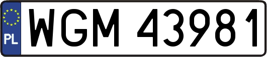WGM43981