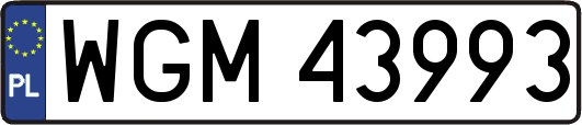 WGM43993