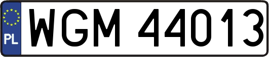 WGM44013