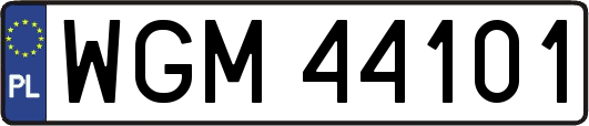 WGM44101