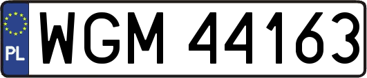 WGM44163