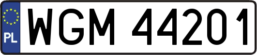 WGM44201