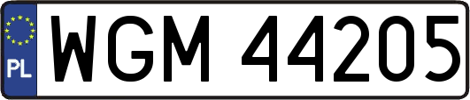 WGM44205