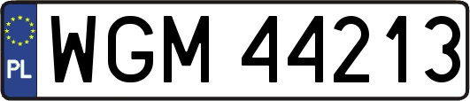 WGM44213