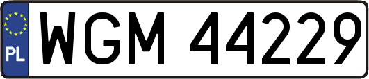 WGM44229