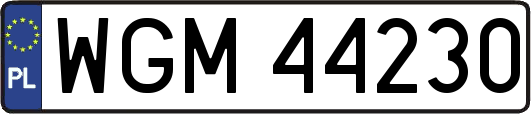 WGM44230