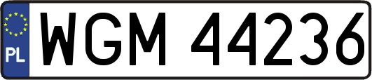 WGM44236