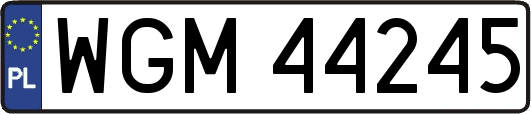 WGM44245