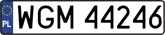 WGM44246