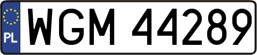 WGM44289