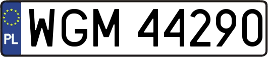 WGM44290