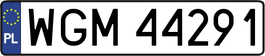 WGM44291