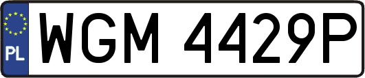 WGM4429P