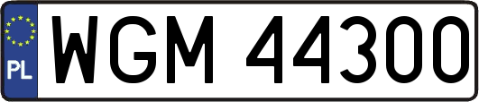 WGM44300