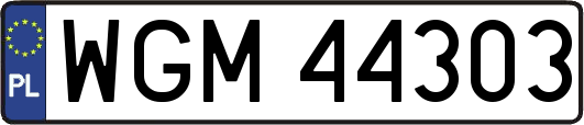 WGM44303