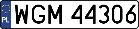 WGM44306