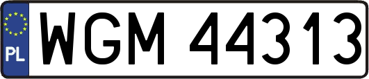 WGM44313