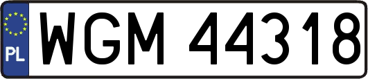 WGM44318