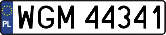 WGM44341
