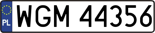 WGM44356