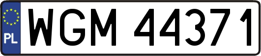 WGM44371