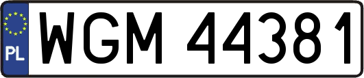 WGM44381