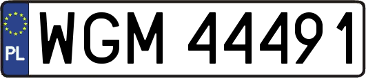 WGM44491