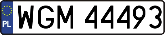WGM44493