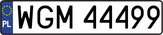 WGM44499