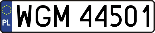 WGM44501