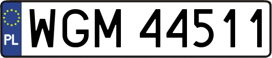 WGM44511
