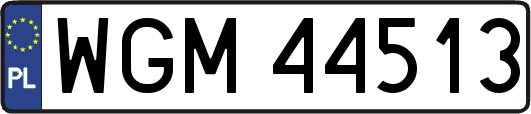 WGM44513