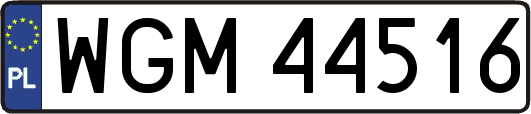 WGM44516